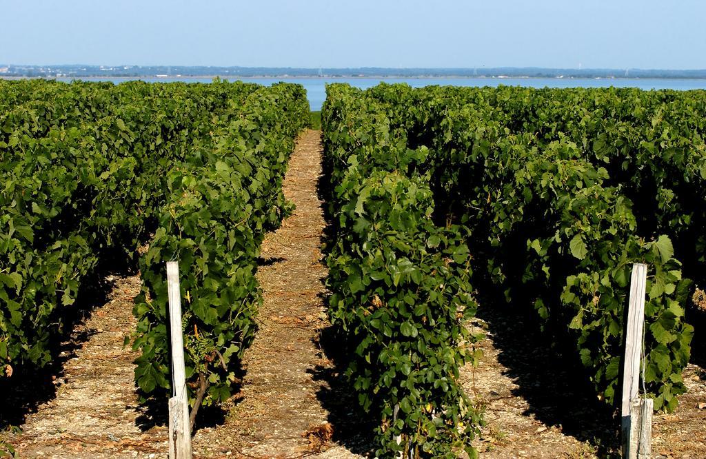 VVF Villages   La Plage du Médoc   Soulac-sur-Mer Eksteriør bilde